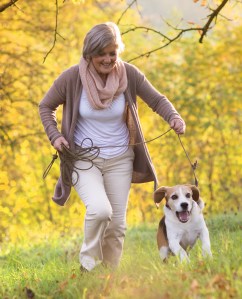 shutterstock_164195771 - Copy (2)