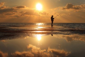 shutterstock_71074087