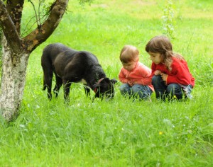 $ dreamstime_6562165