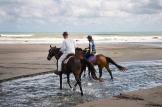 $ dreamstime_7616146