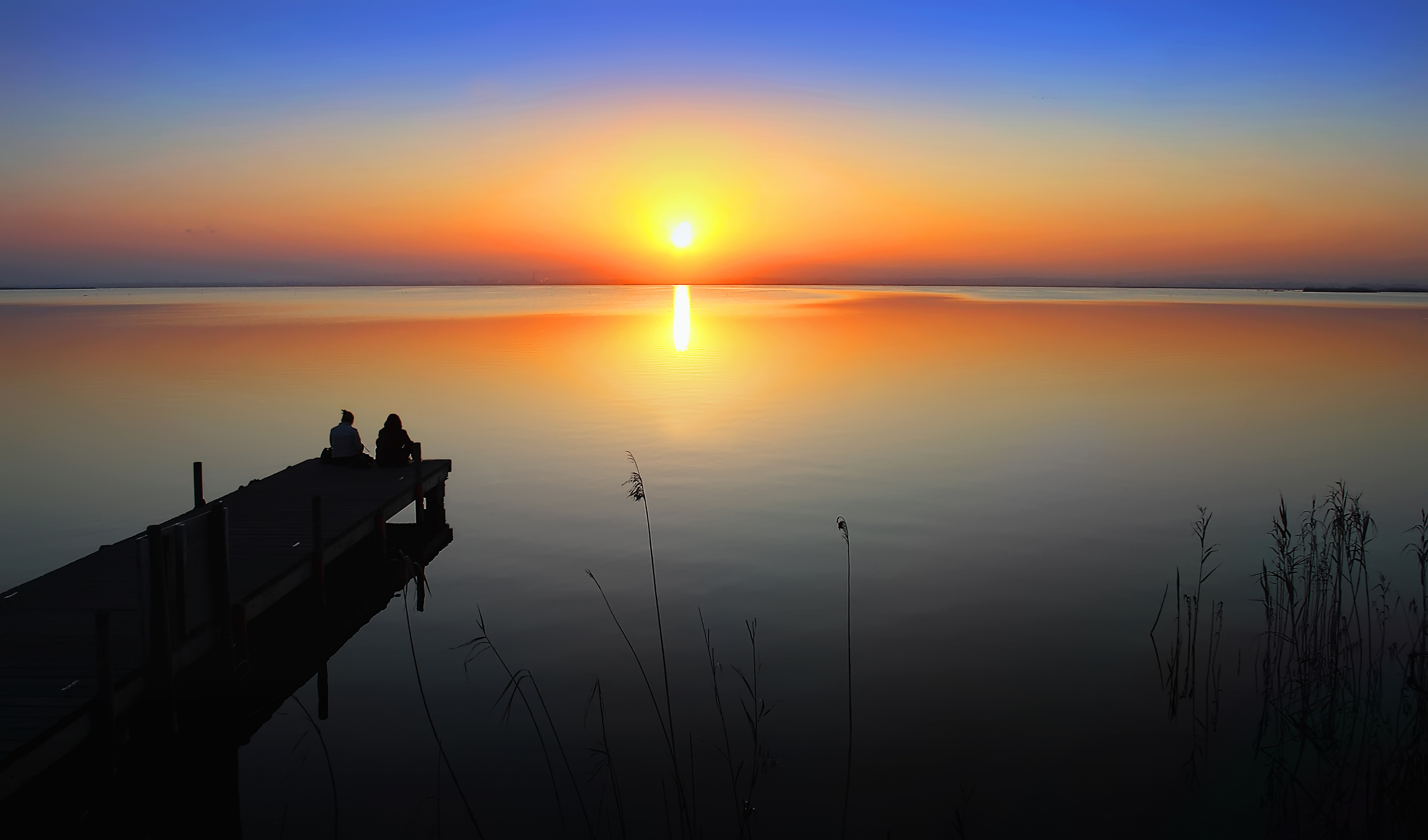 $ dreamstime_12416220