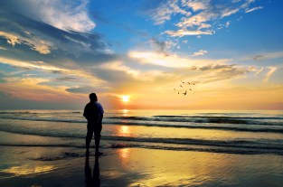 shutterstock_169648079